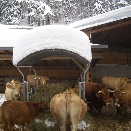 Zeidelhof * Lilienfeld