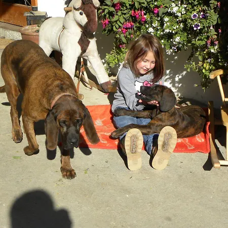 Feriegård Zeidelhof Lilienfeld