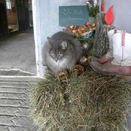 Zeidelhof Farmház *