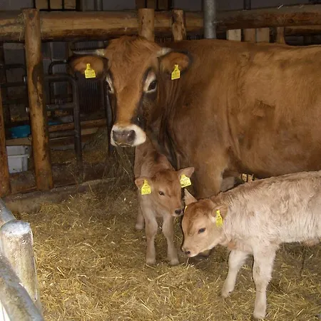 Zeidelhof Lilienfeld