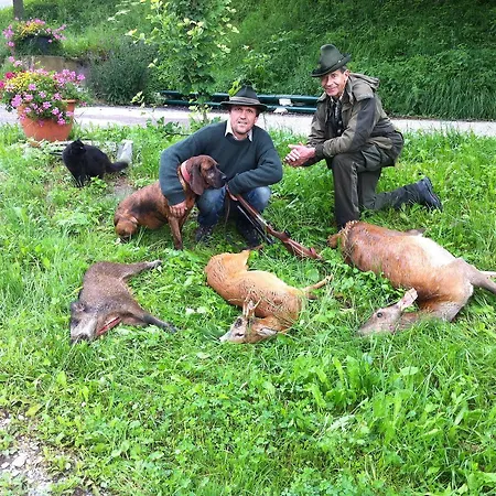 Feriegård Zeidelhof *