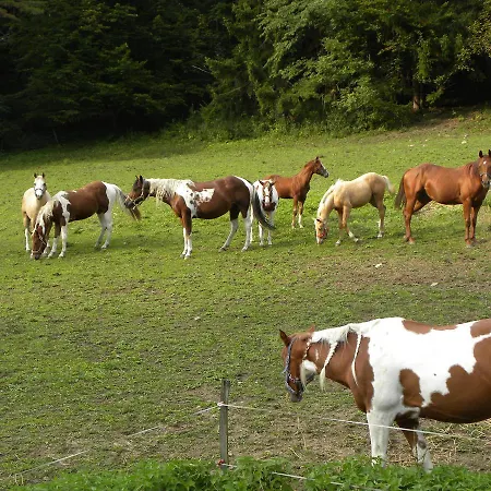Zeidelhof Lilienfeld