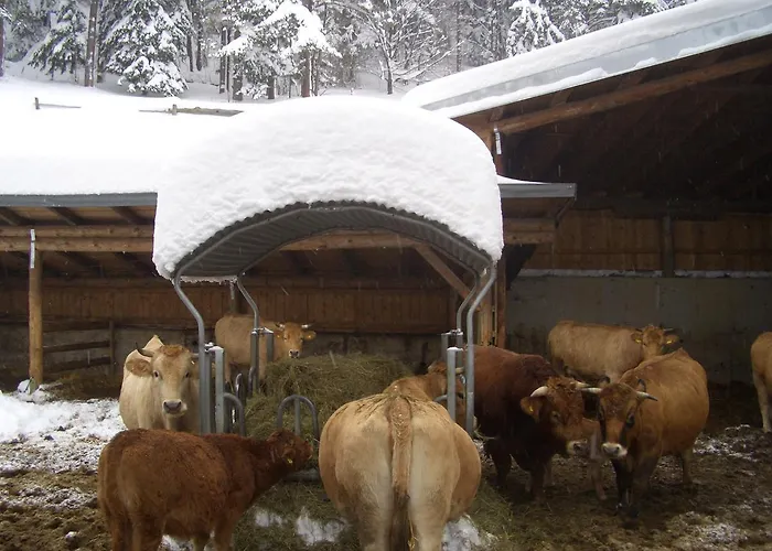 Zeidelhof * Lilienfeld