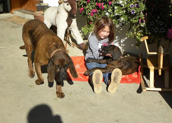 Vakantieboerderij Zeidelhof Lilienfeld