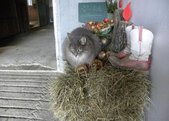 Zeidelhof Vakantieboerderij *