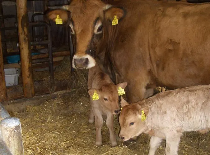 Zeidelhof Lilienfeld