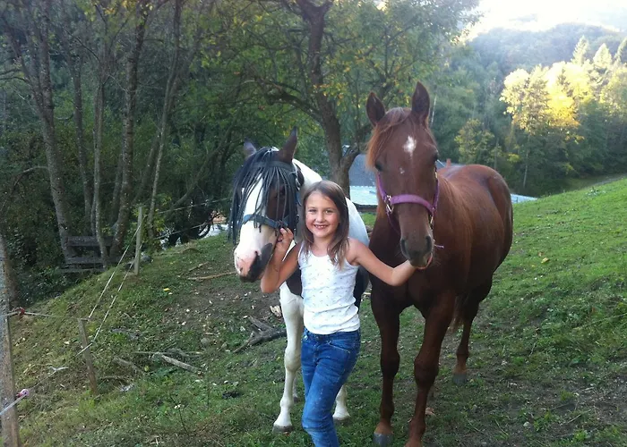 Zeidelhof Vakantieboerderij Lilienfeld