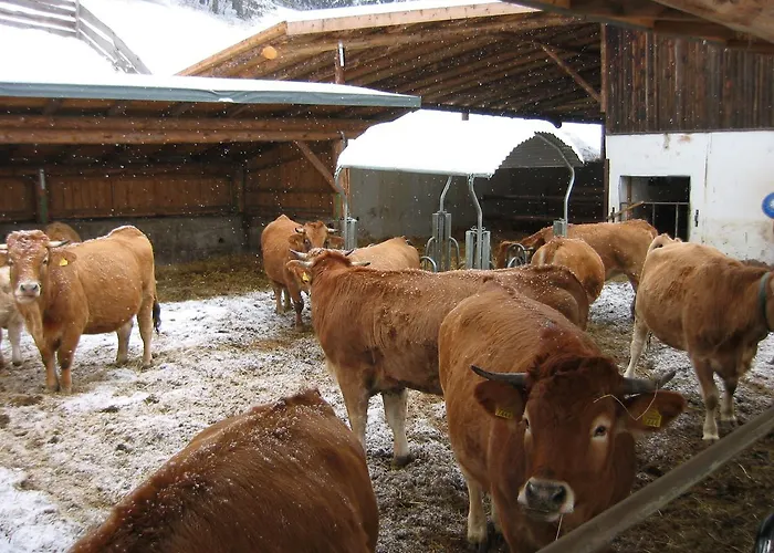 Zeidelhof Vakantieboerderij *