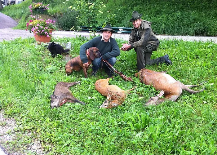 Vakantieboerderij Zeidelhof *