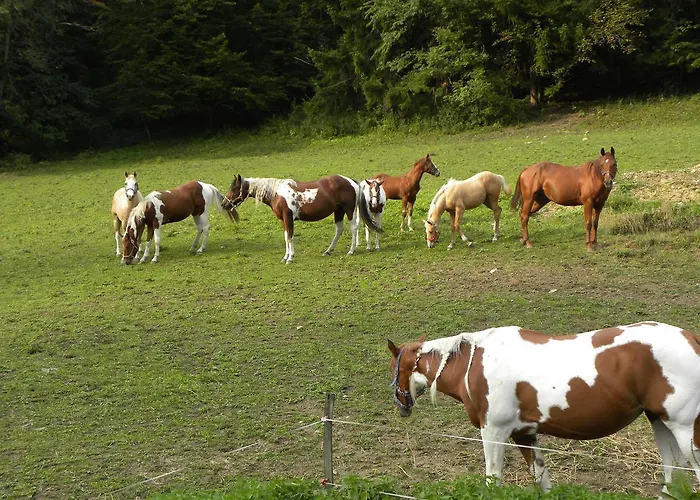 Zeidelhof Lilienfeld